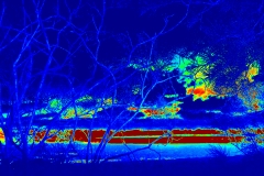 Effetto termico su alberi e paesaggio