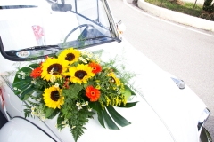 Fiori sull'auto