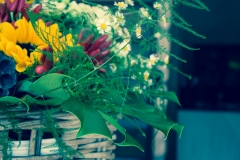 Fiori per decorare